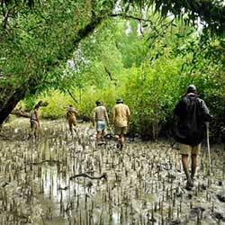 nature walk