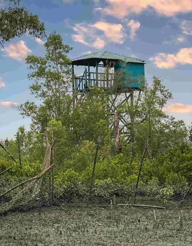 sundarban watch tower